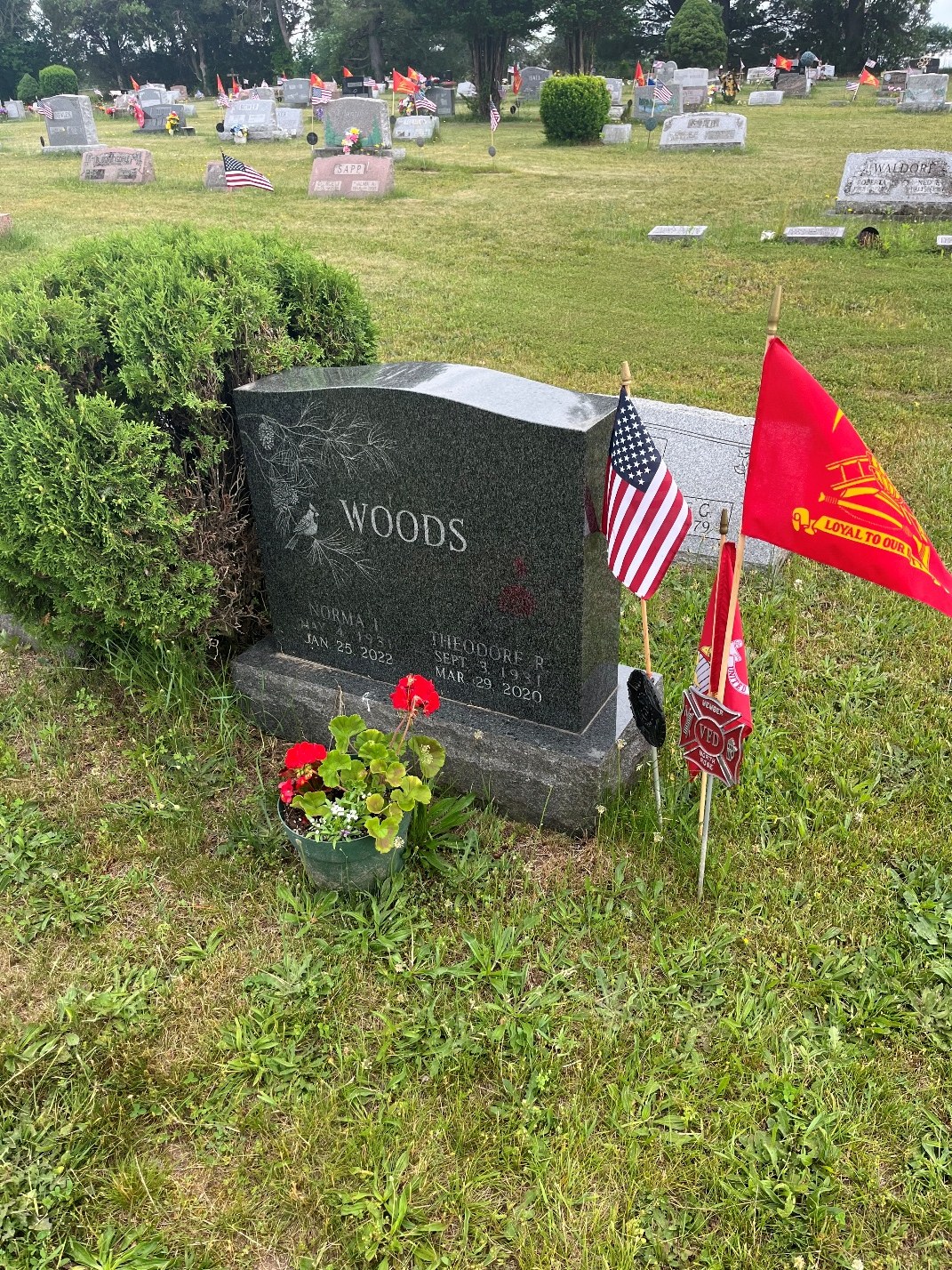 North Rose Fire Department archive photograph (headstones)