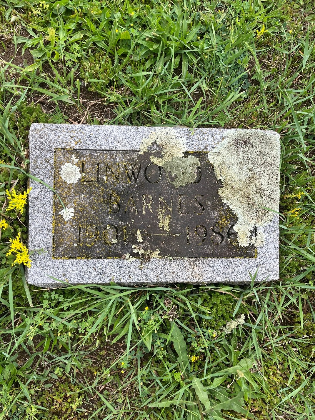 North Rose Fire Department archive photograph (headstones)